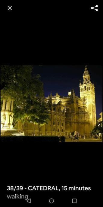 Apartamento En El Casco Antiguo Junto Alameda H. 塞维利亚 外观 照片